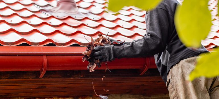 gutter cleaning expert cleans leaves from a red tiled roof gutter. home maintenance, roof repair, autumn service.